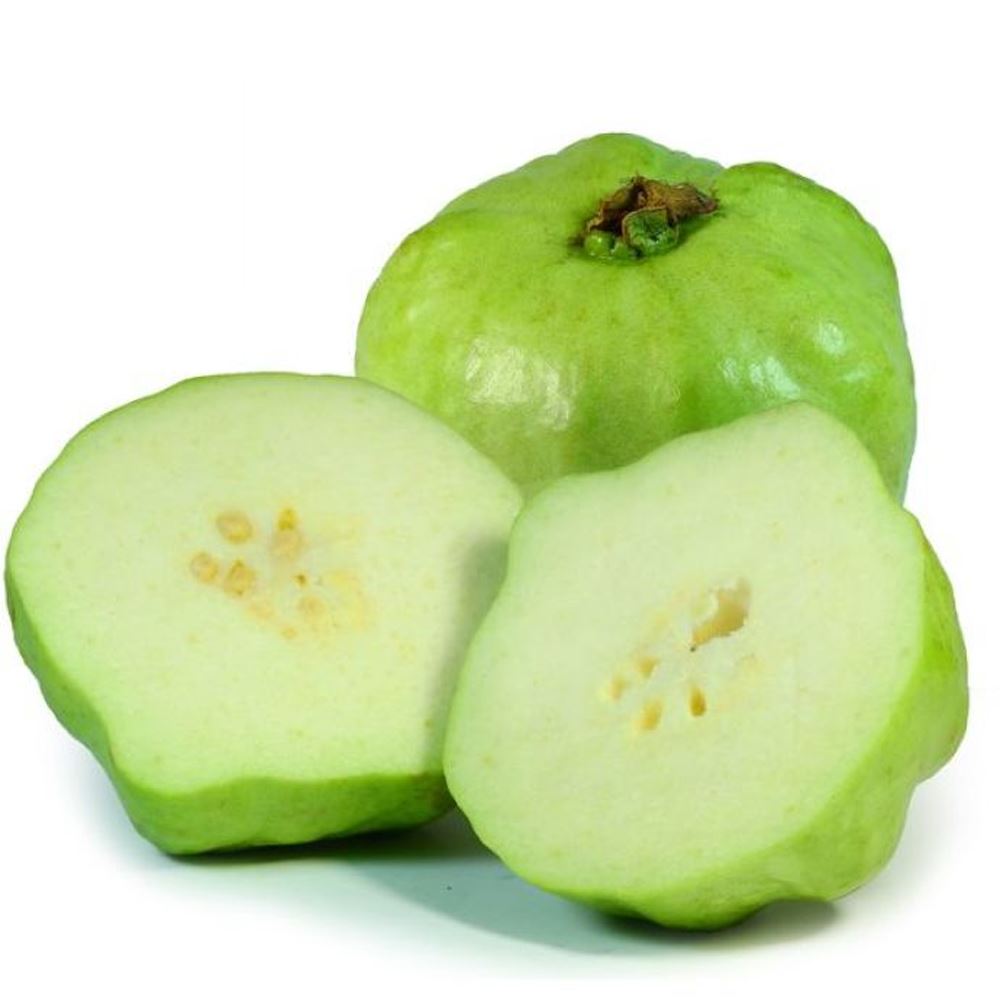 White Guava (Glohmsahlee)