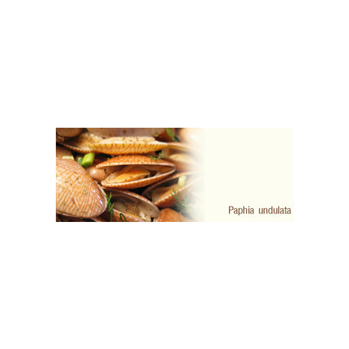 Molluses/ Fish/ Crab