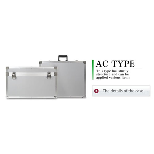 Basic Case: AC Type
