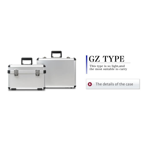 Basic Case: GZ Type