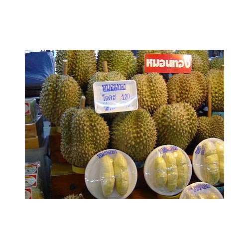 Thailand Durian
