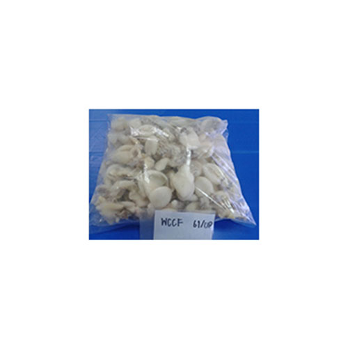 Whole Cleaned Cuttlefish 80% WGT