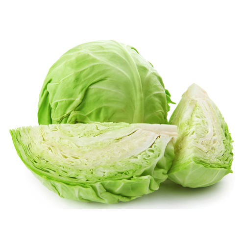TL Trading Fresh Cabbage