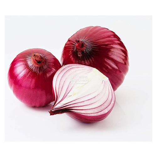 TL Trading Fresh Red Onion