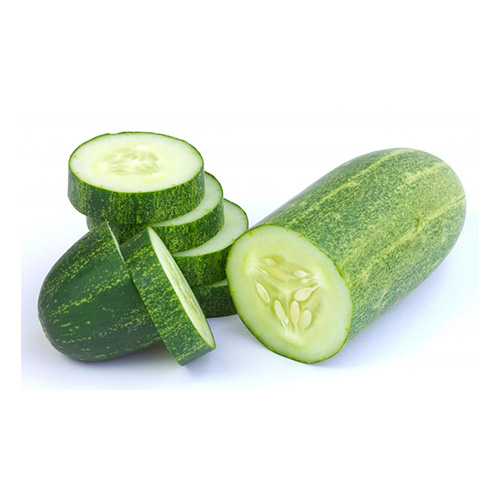 TL Trading Fresh Cucumber