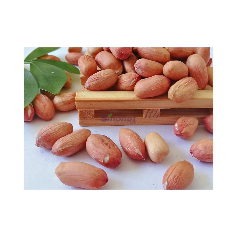 Traditional Type Peanut Kernels Long Shape