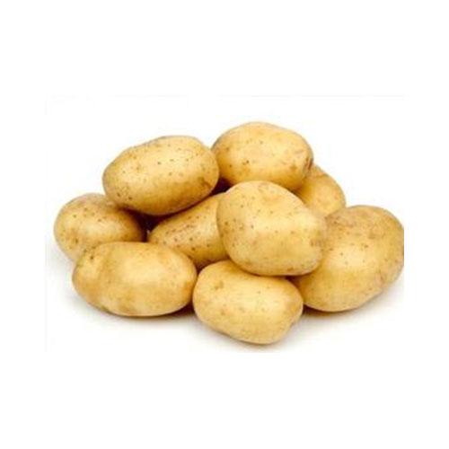 High Quality Fresh Vegetables Potato