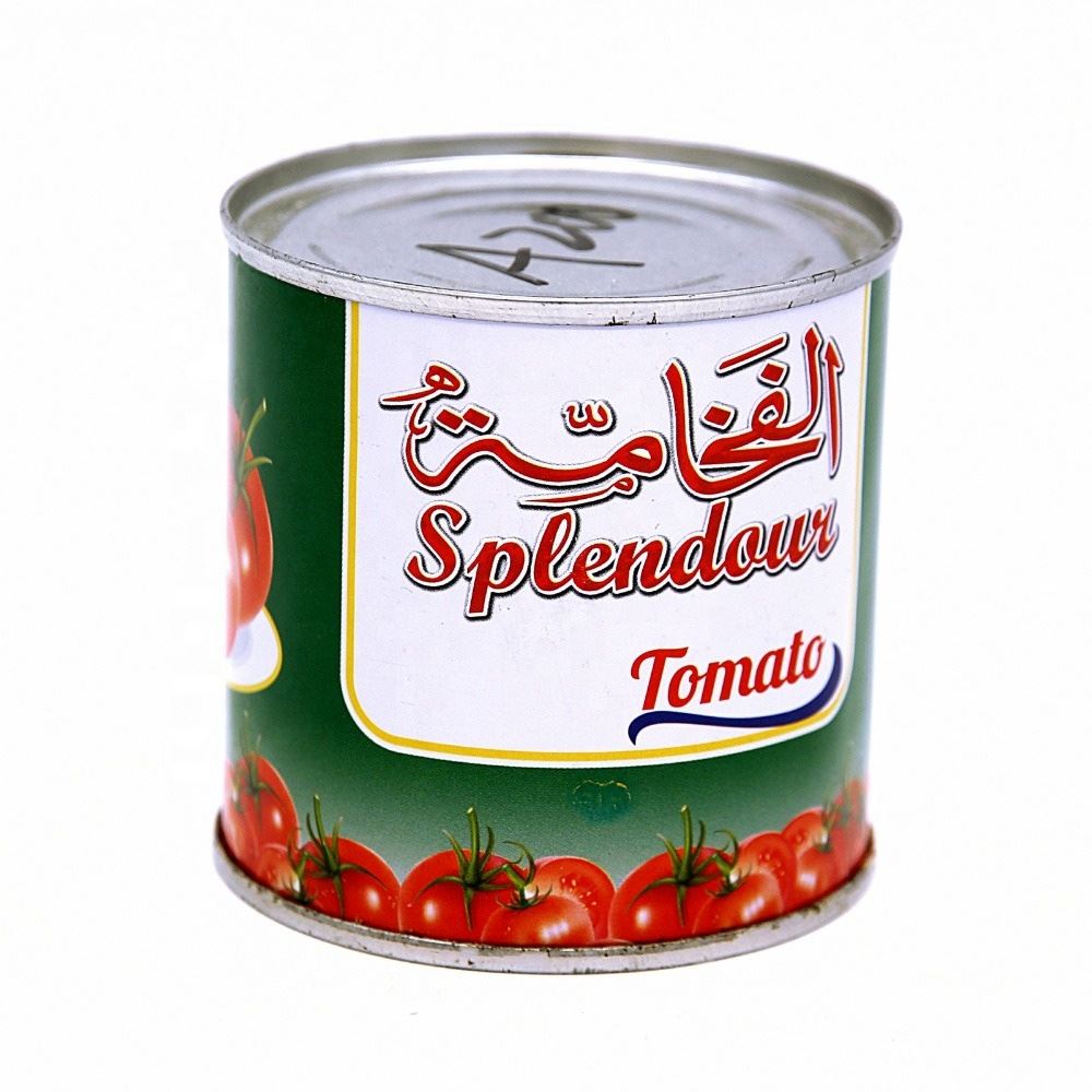 canned tomato paste 198g with high quality 