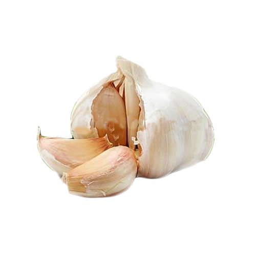 New corps Fresh Garlic