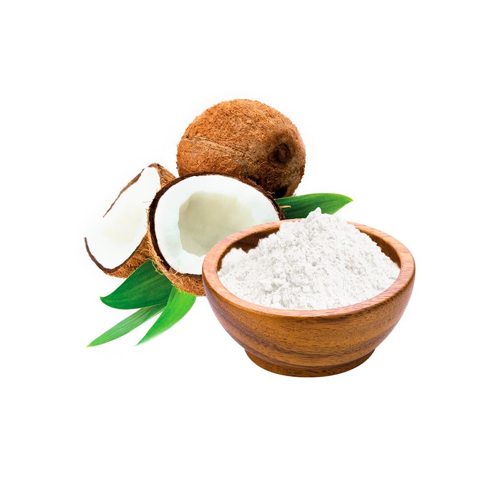 Coconut Milk Powder 
