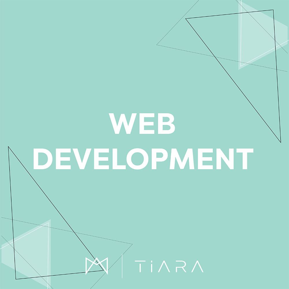 Website Development 