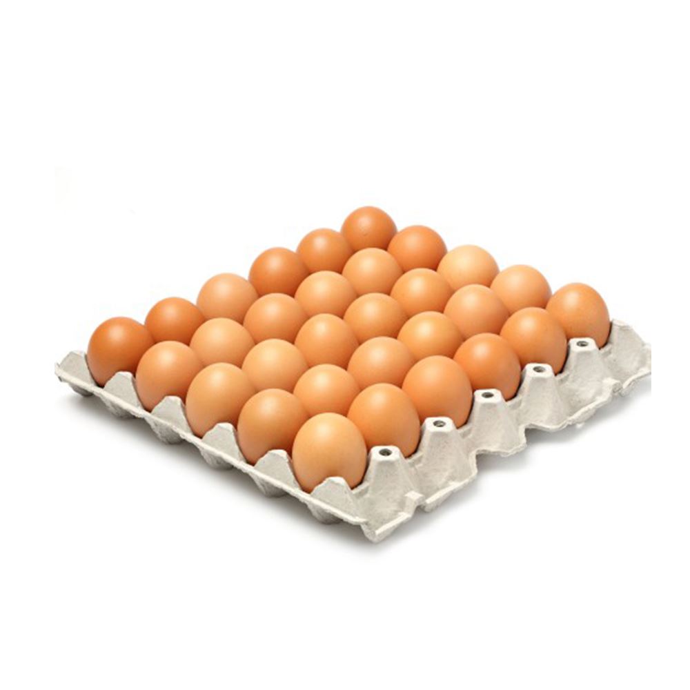 LK Telur (30/Tray) | Egg Supplier Malaysia