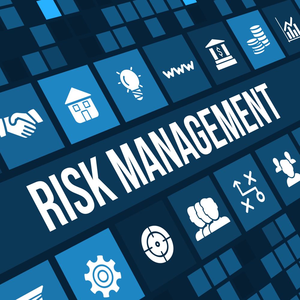 Business Risk Management 