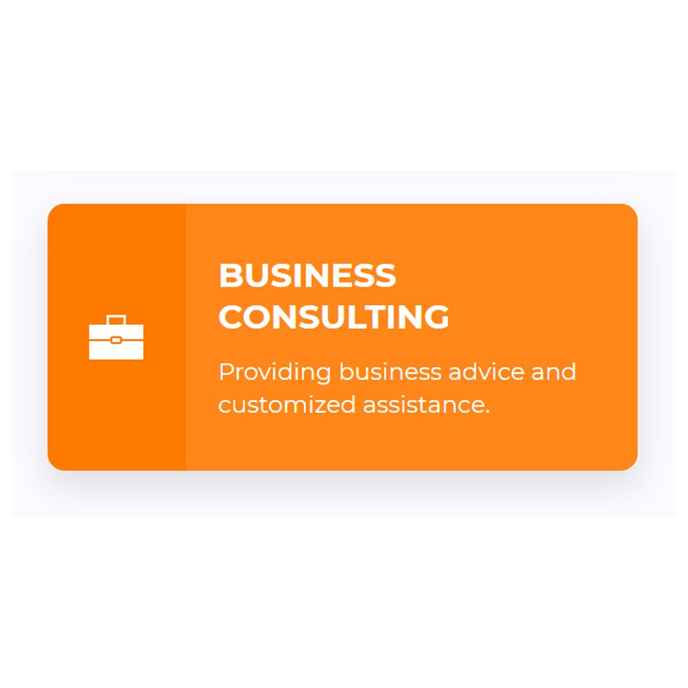 Business Consulting | Audit And Review Financial Services 