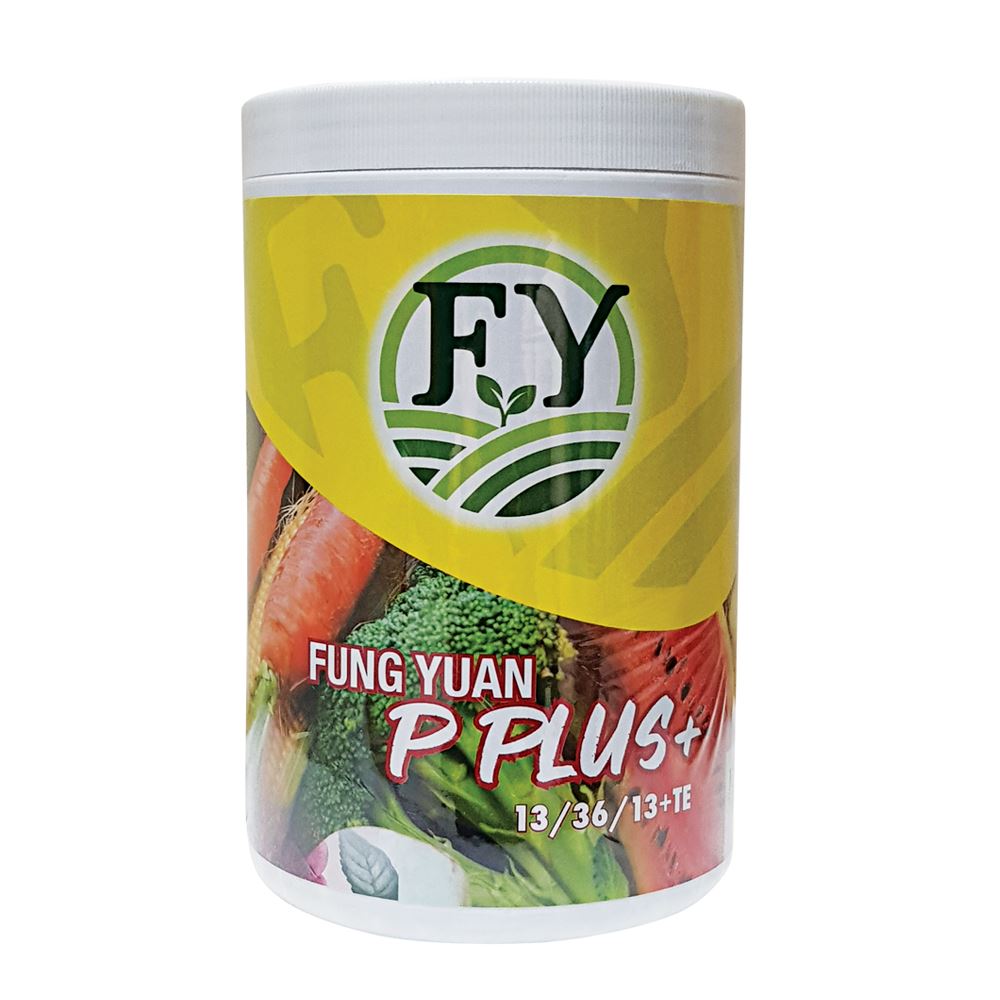 Fung Yuan P Plus