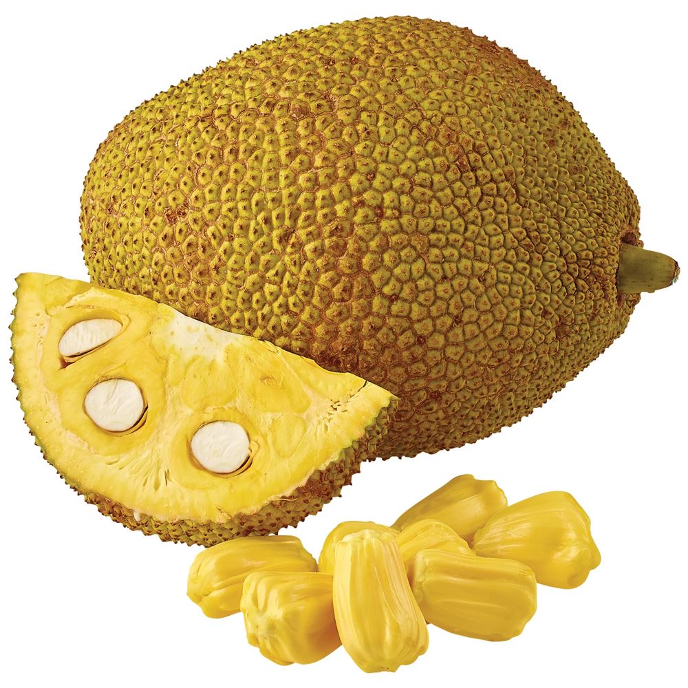 Hee Harvest Fresh Jackfruit - 500g