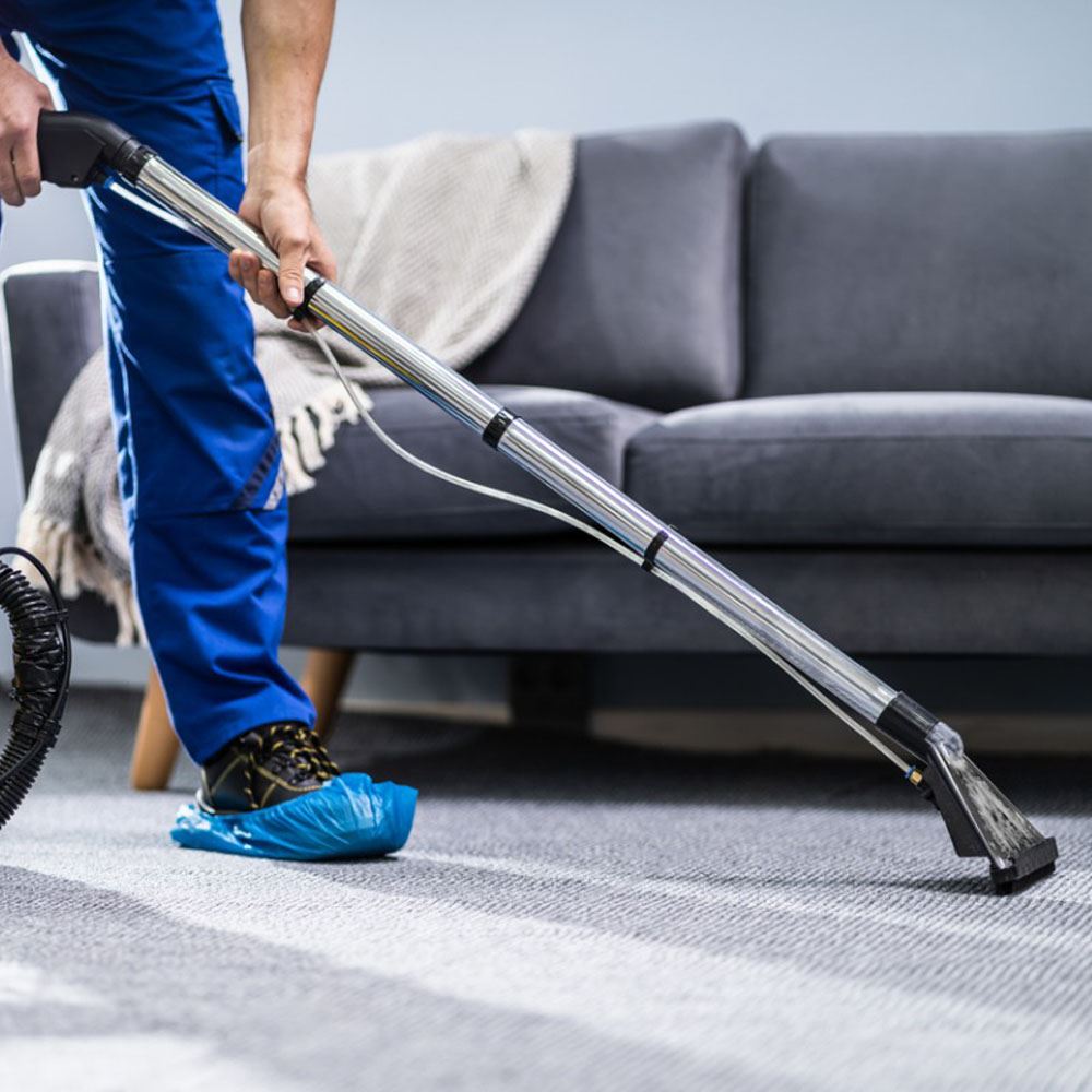 Cleaning Carpet Services