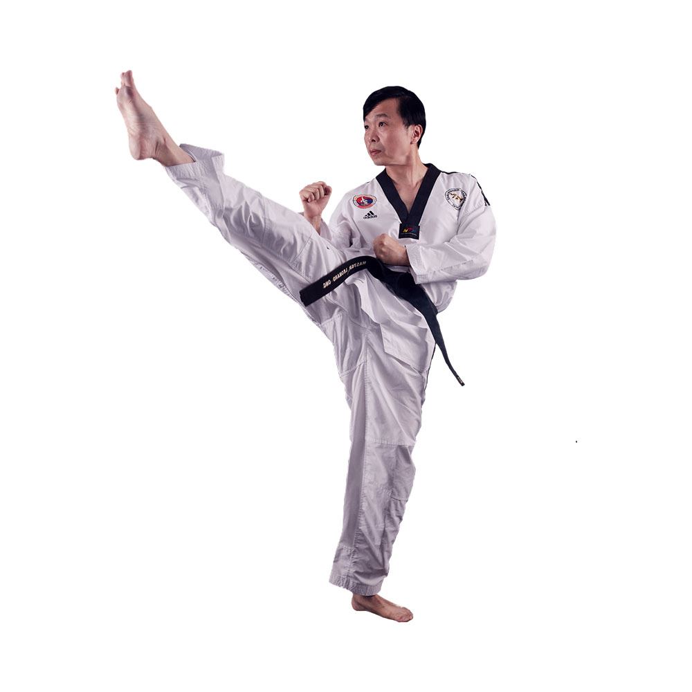 Taekwondo Adult Class