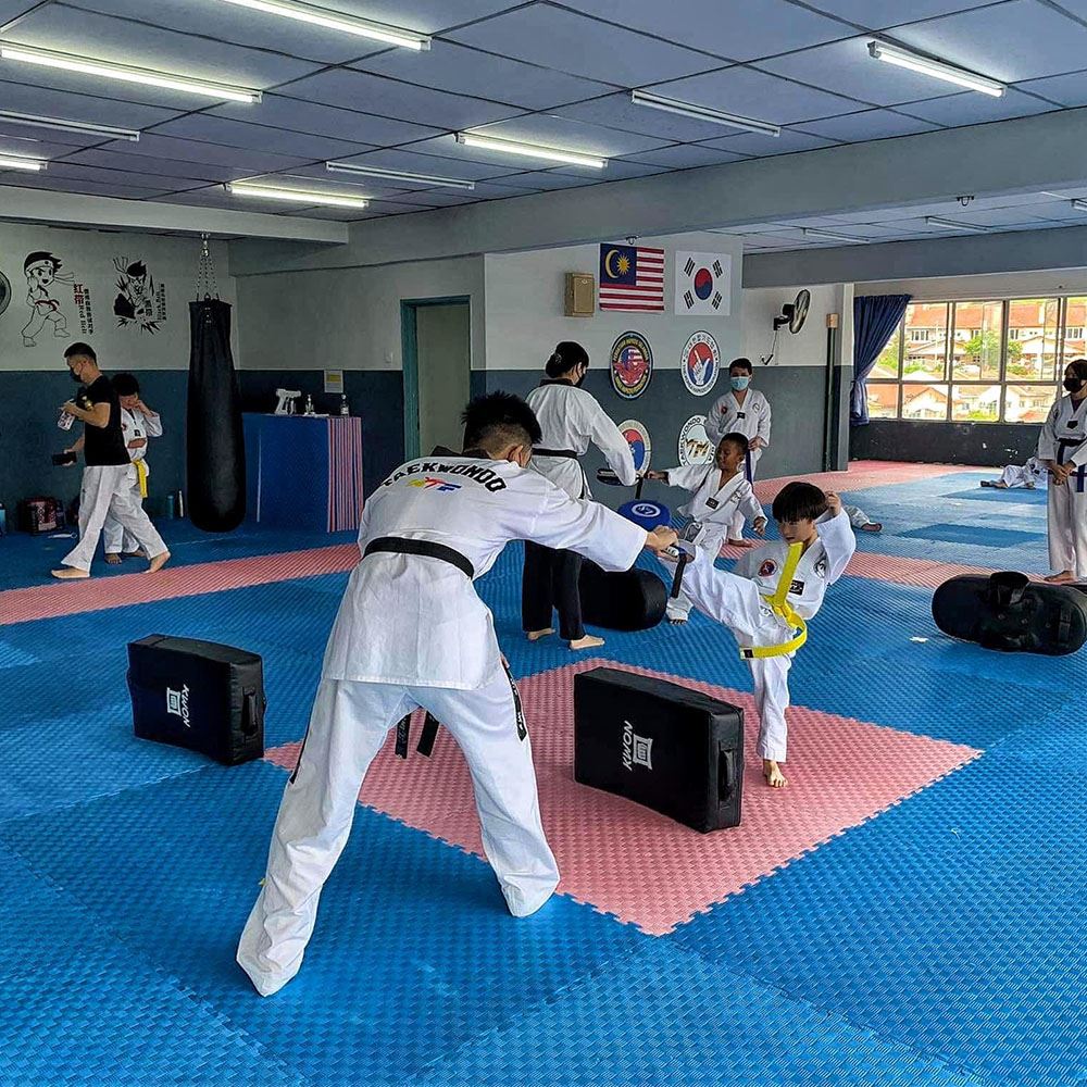 Taekwondo Kids Class 