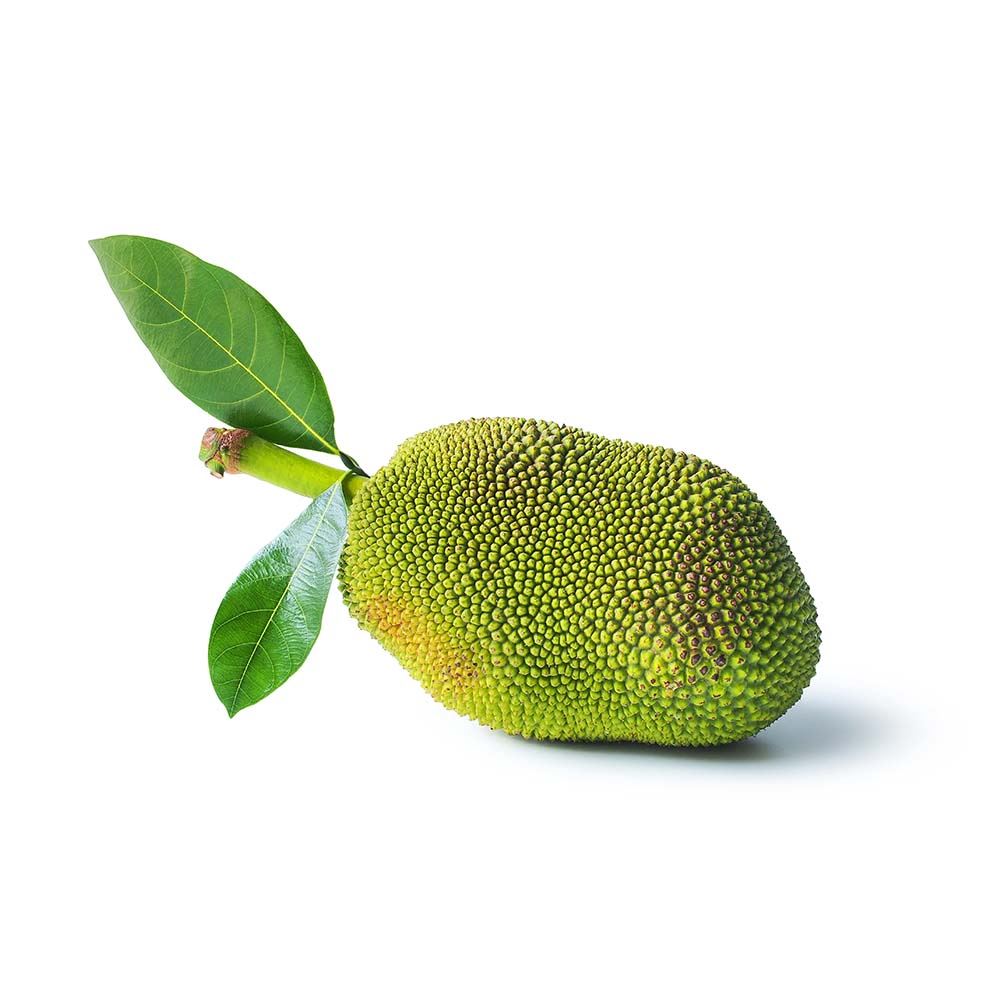 Frugo Fruits Trading Jackfruit Wholesale - 1KG