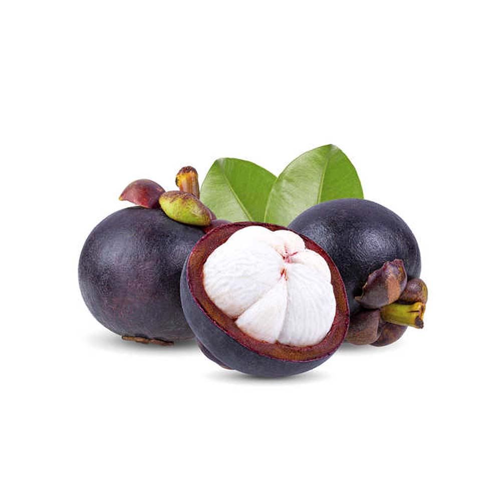 Frugo Fruits Trading Mangosteen Fruit Online - 1KG