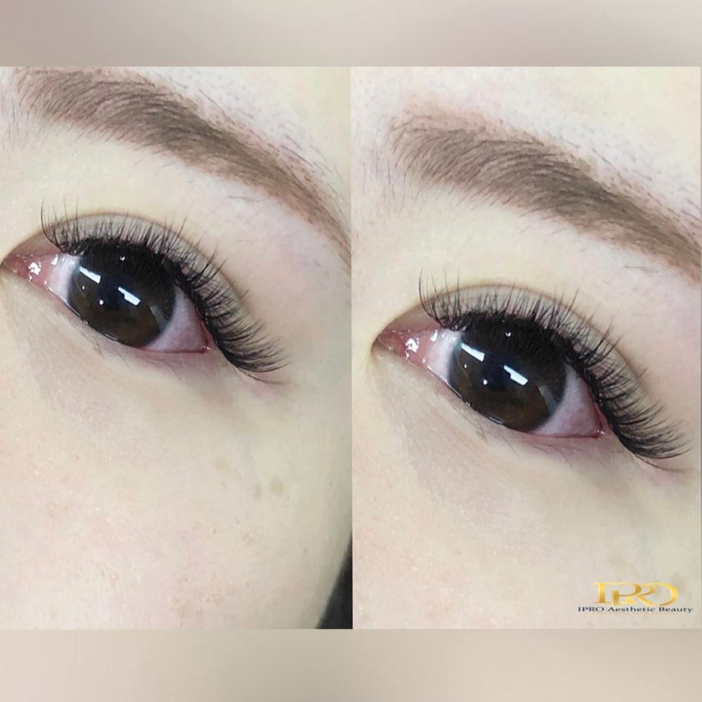 Ipro Aesthetic Beauty Eyelash Extension