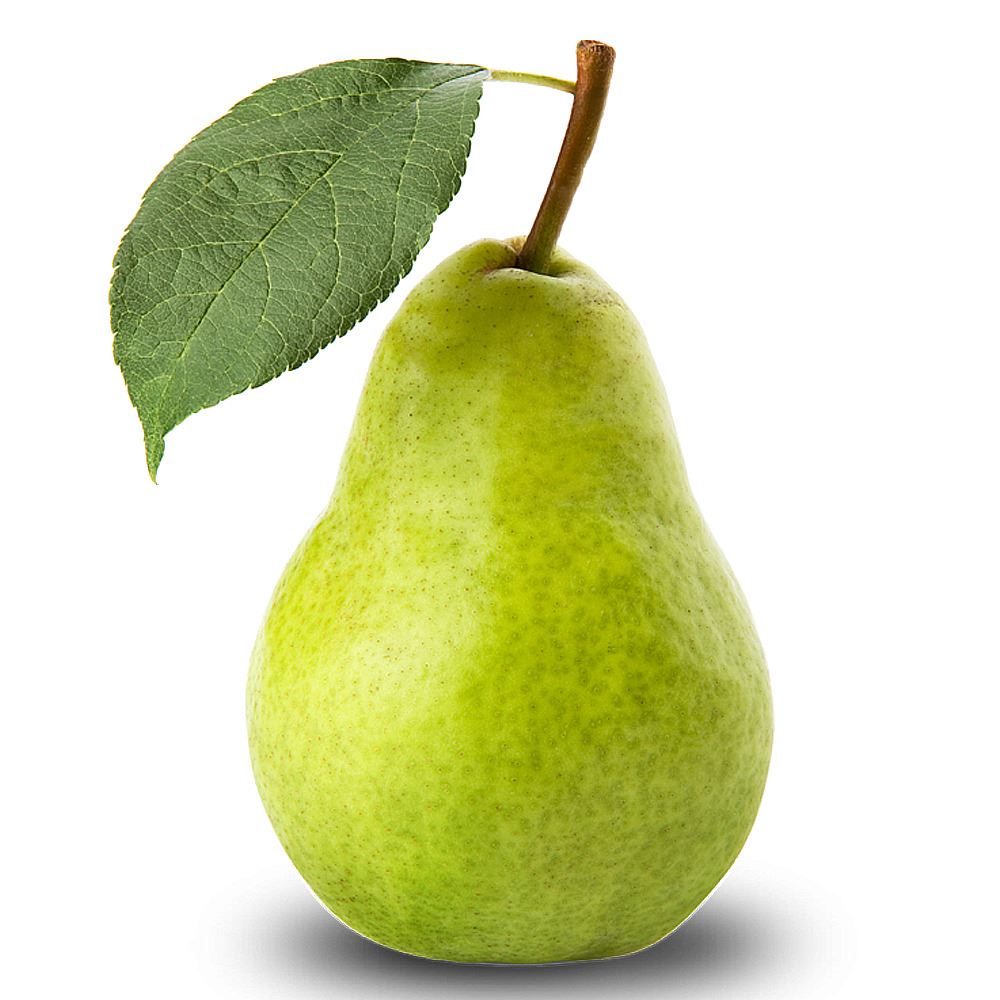 SA Packham Pear