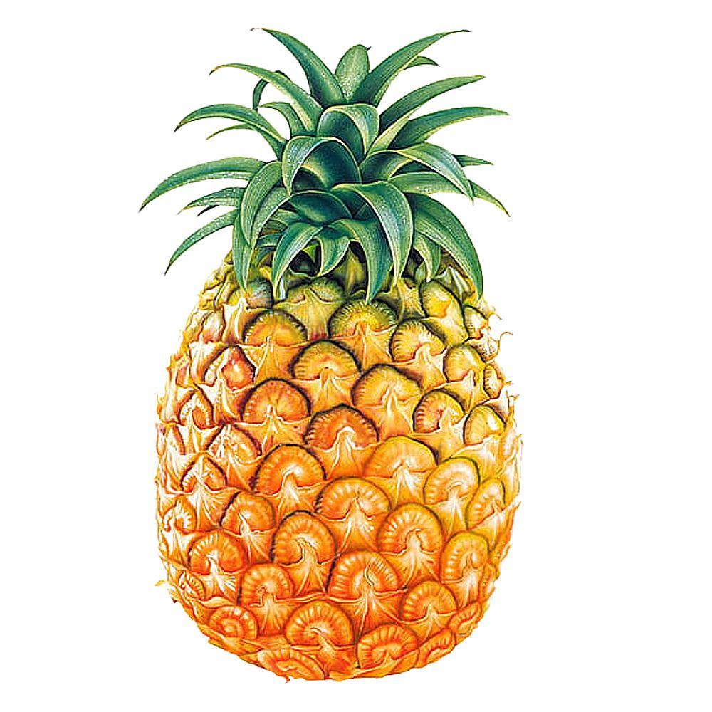 Pineapple