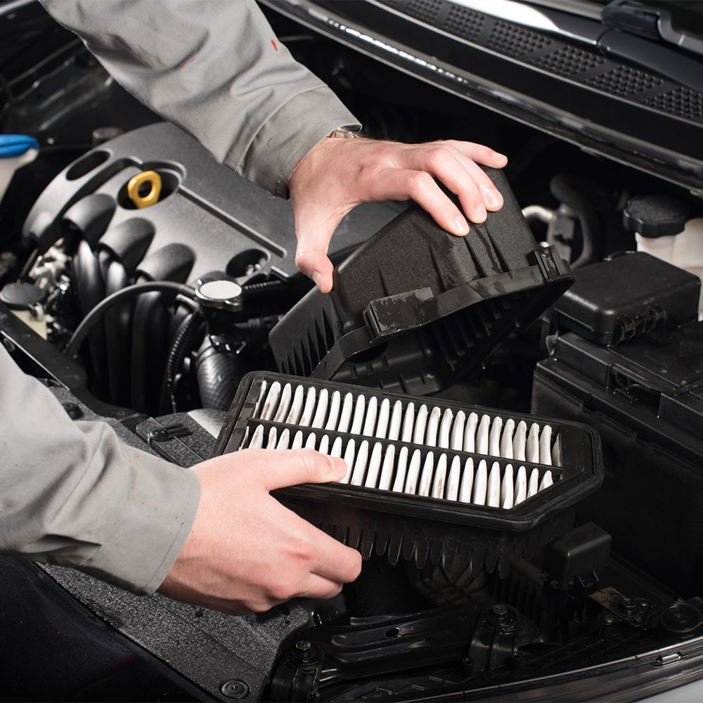 Engine & Cabin Air Filter Replacement