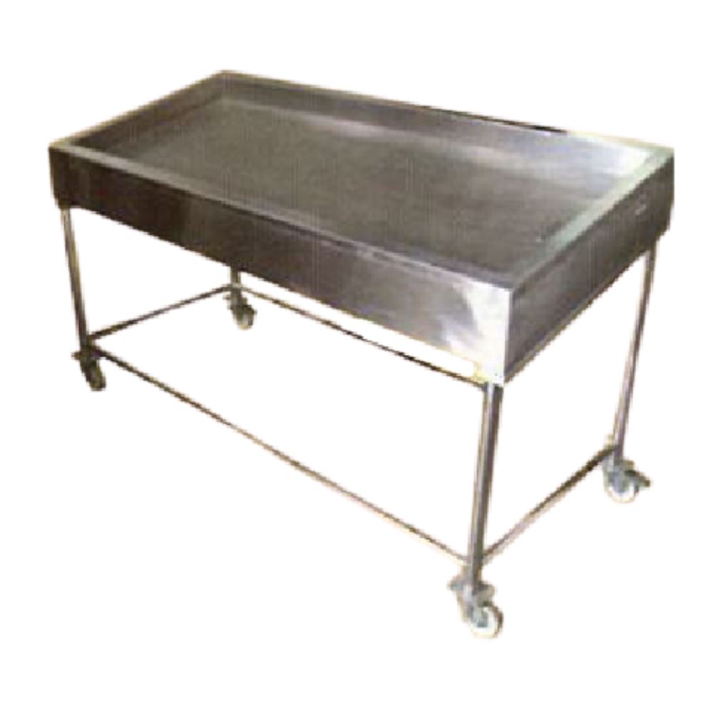 Insulated Seafood Display Counter