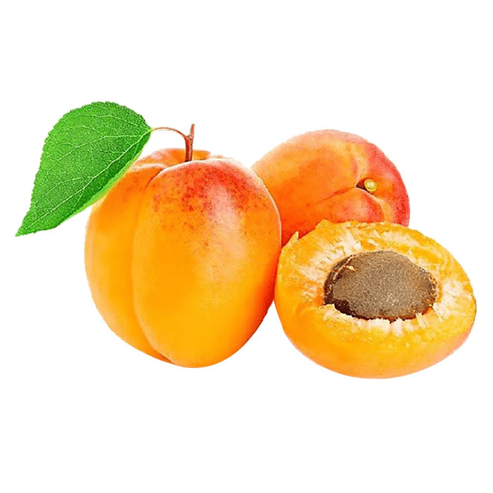 Turkey Apricot