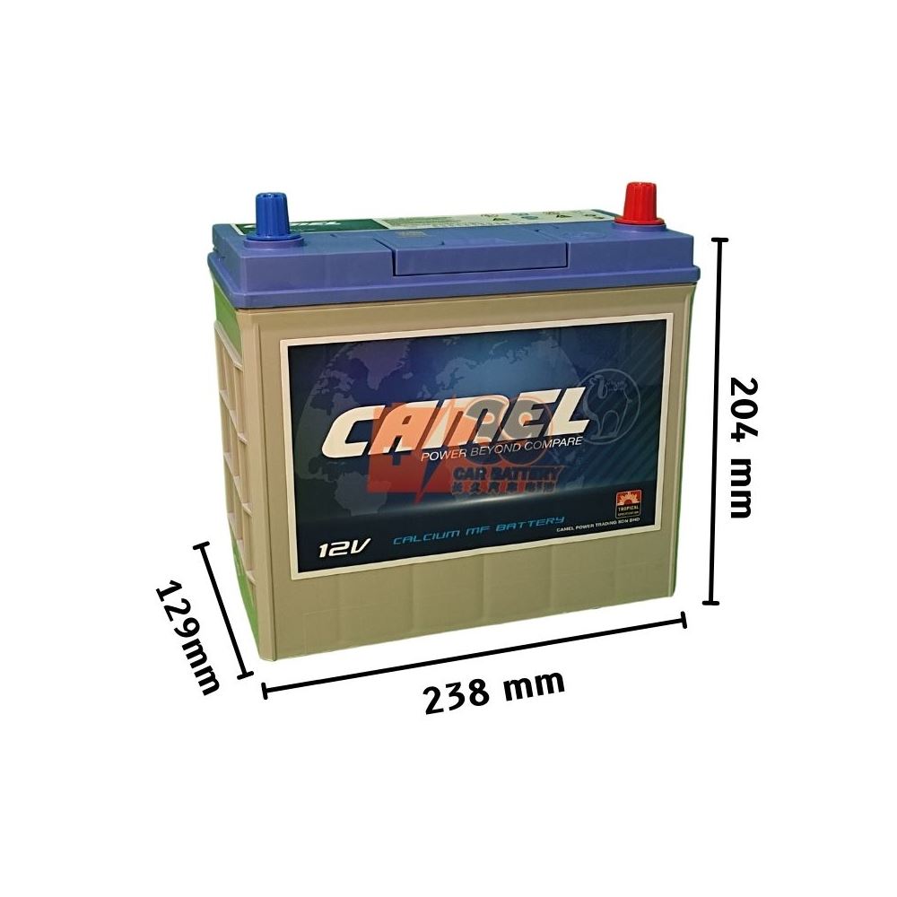 Puchong Specialized Battery - Camel Standard SMF 50B24R/L (NS60R/L)