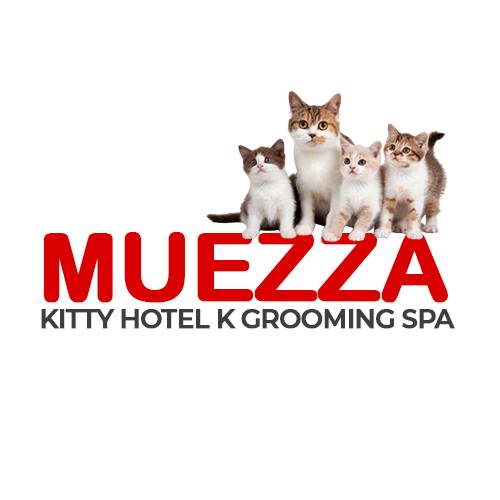 Muezza Kitty Hotel K Grooming Spa