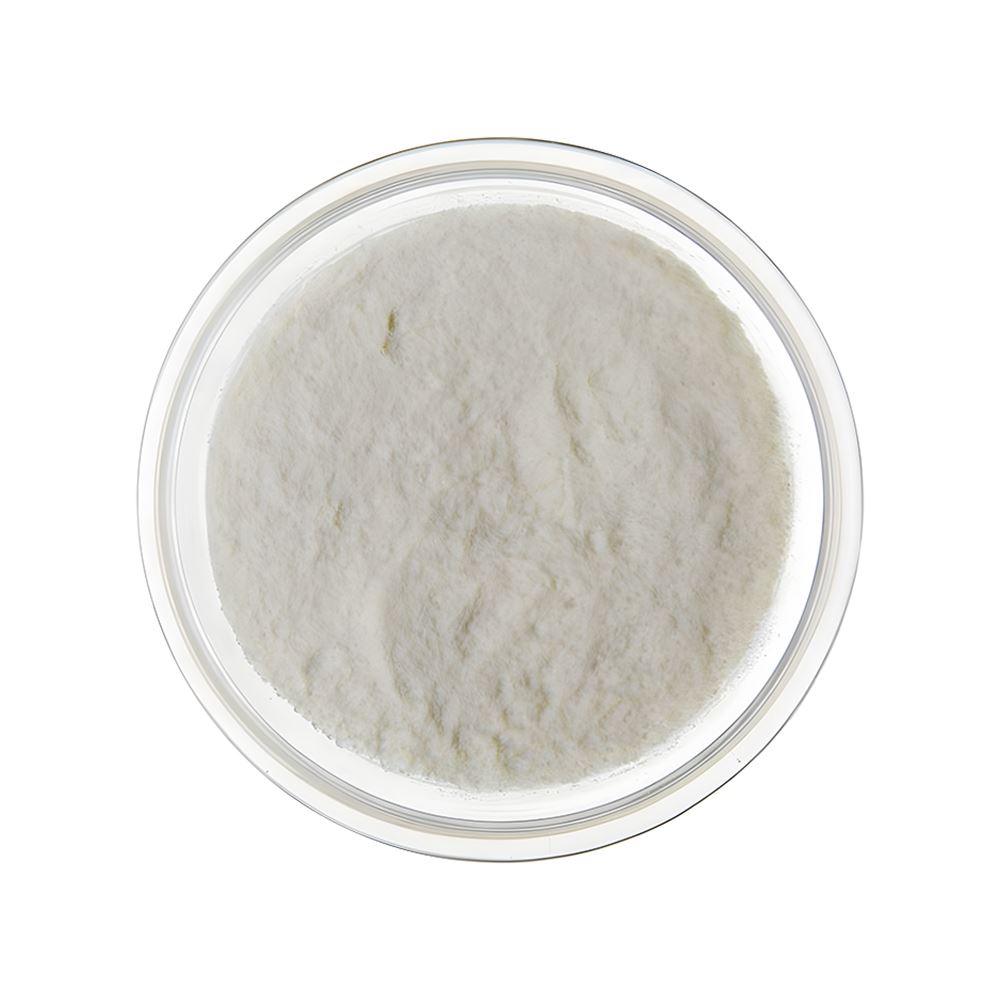 Yogurt Powder - 1kg