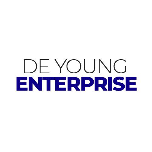 DE Young Enterprise
