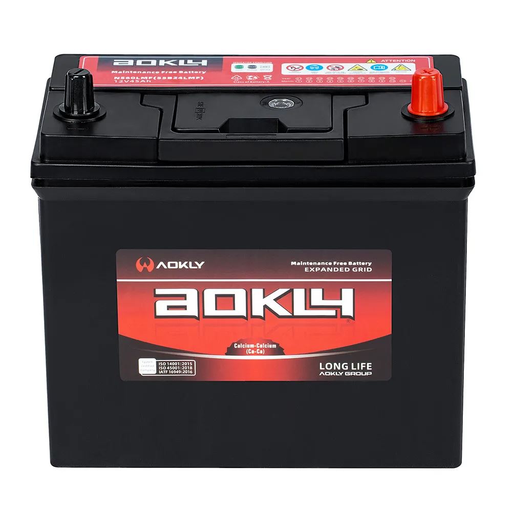 Aokly Automotive Battery NS60LMF