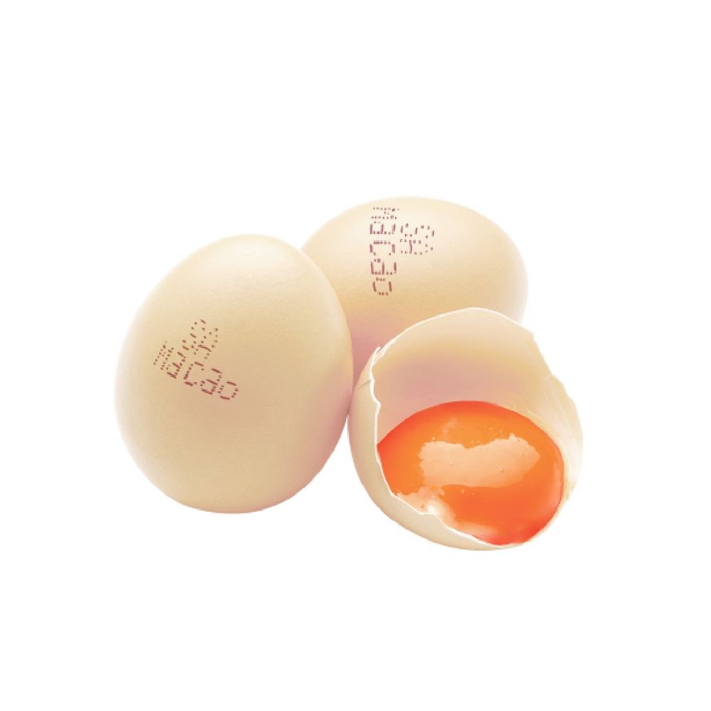 Macao Eggs