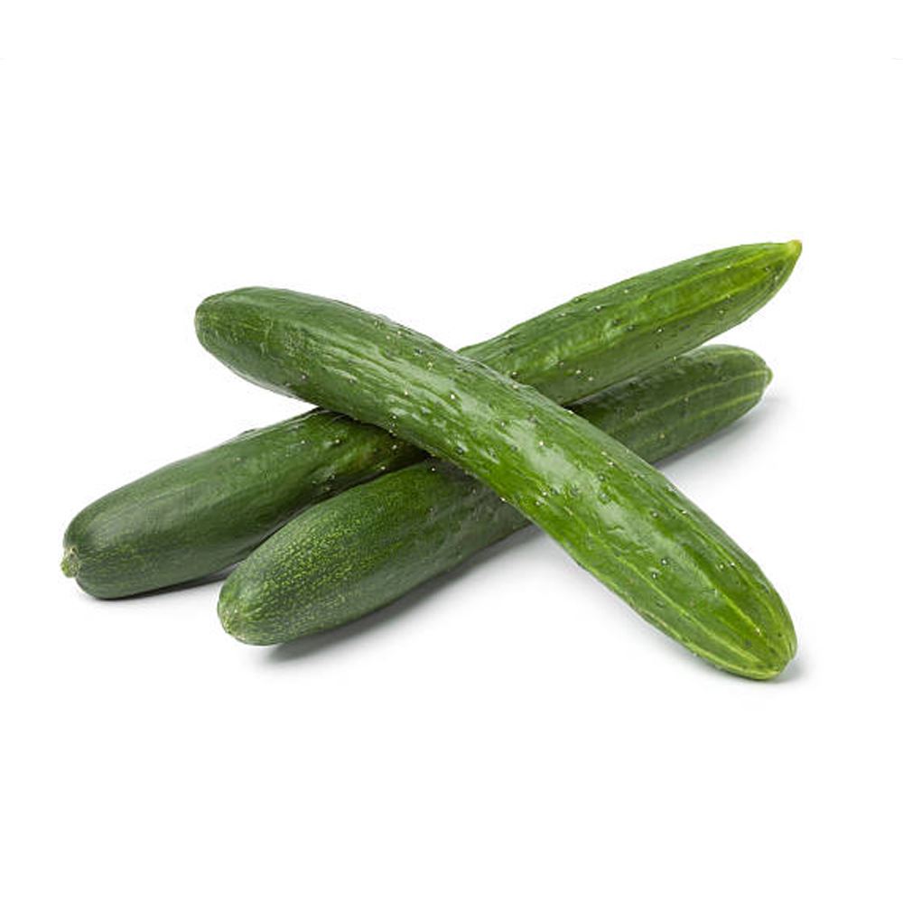 Japanese Cucumber  