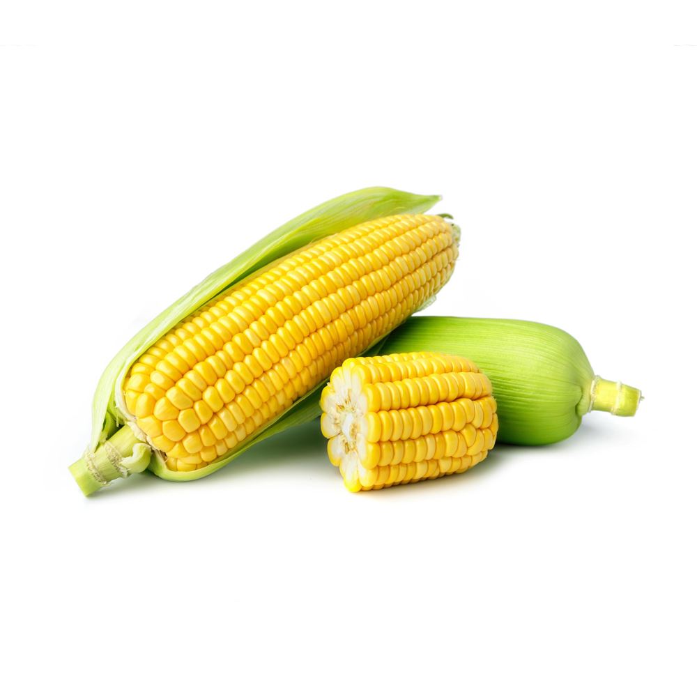 Sweet Corn  