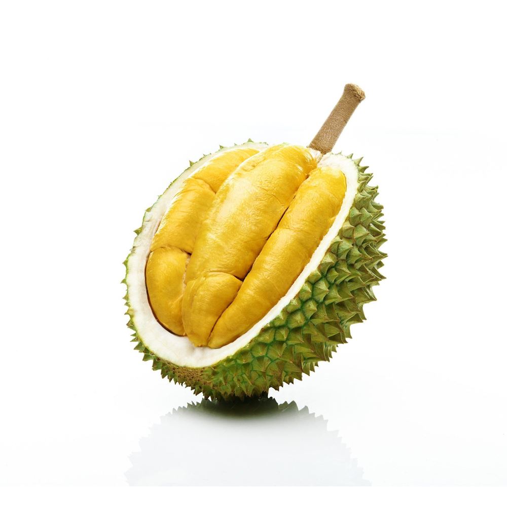 Musang King Durian