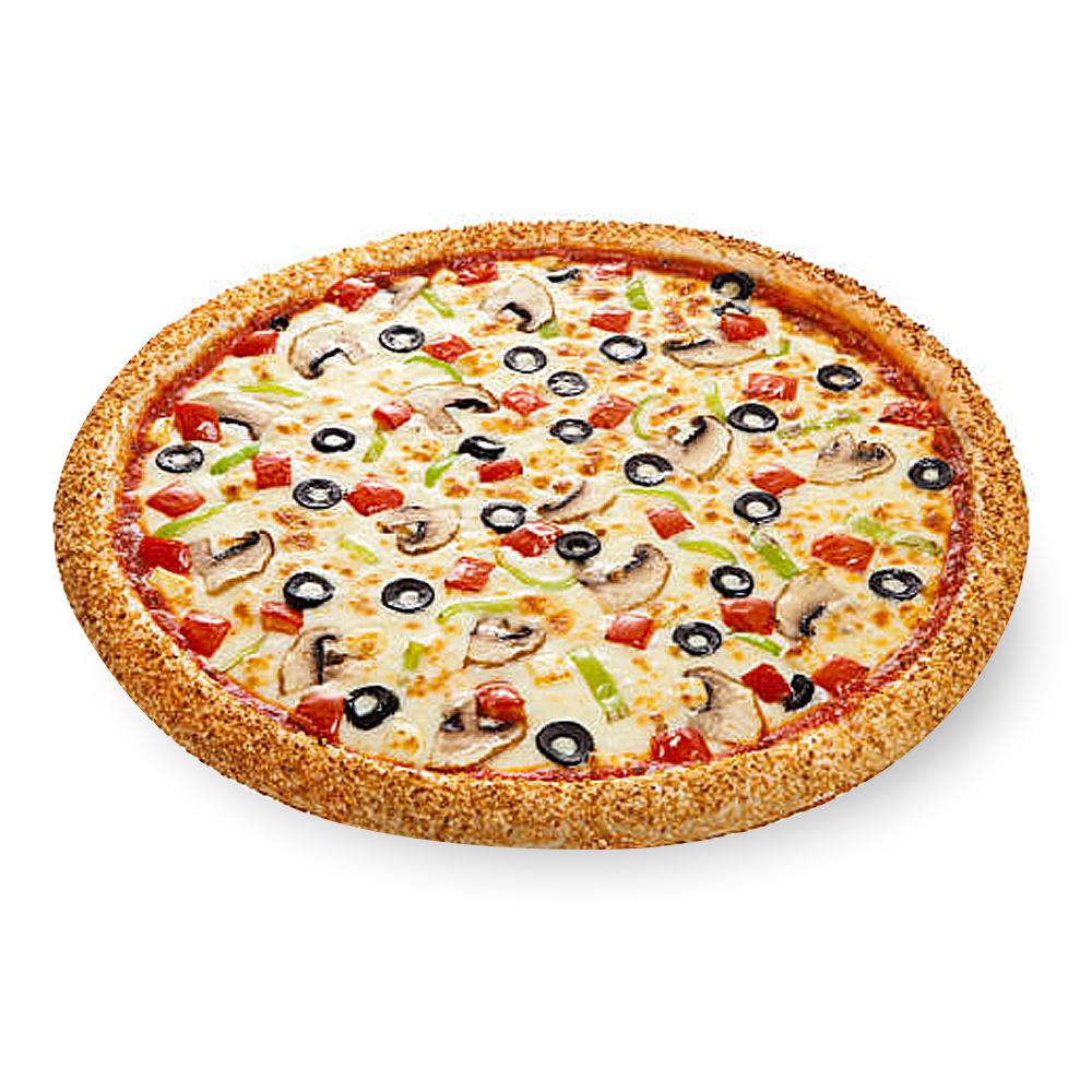 Vegetarian Pizza 10”