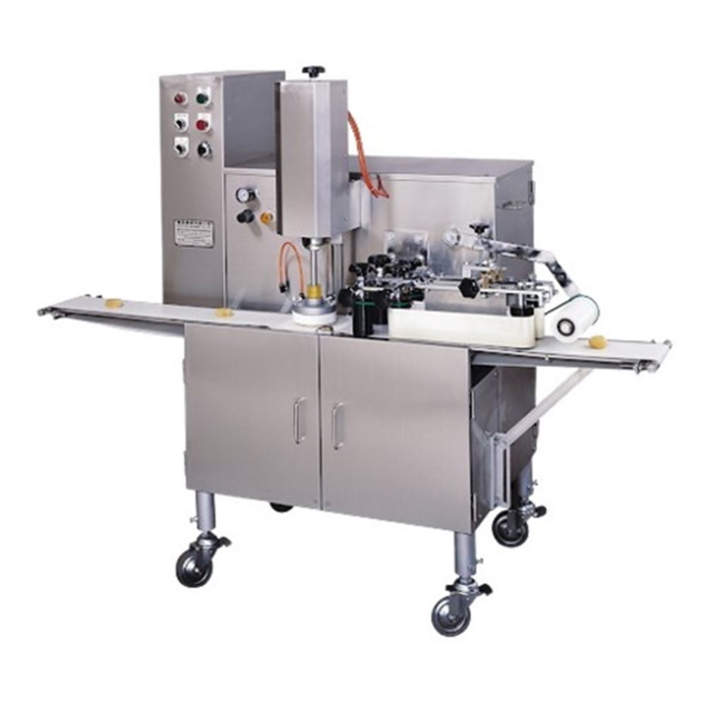 CP-101 (Automatic Stamping Machine)