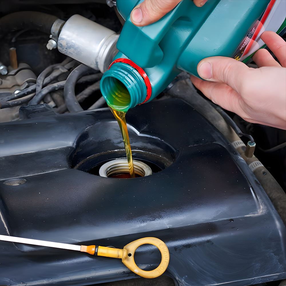 Oil Change & Fluid Top-Up