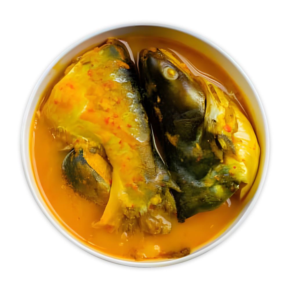 Ikan Patin Masak Tempoyak