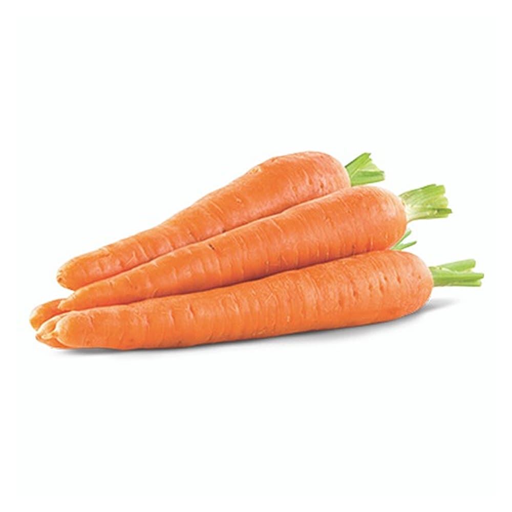 Carrot