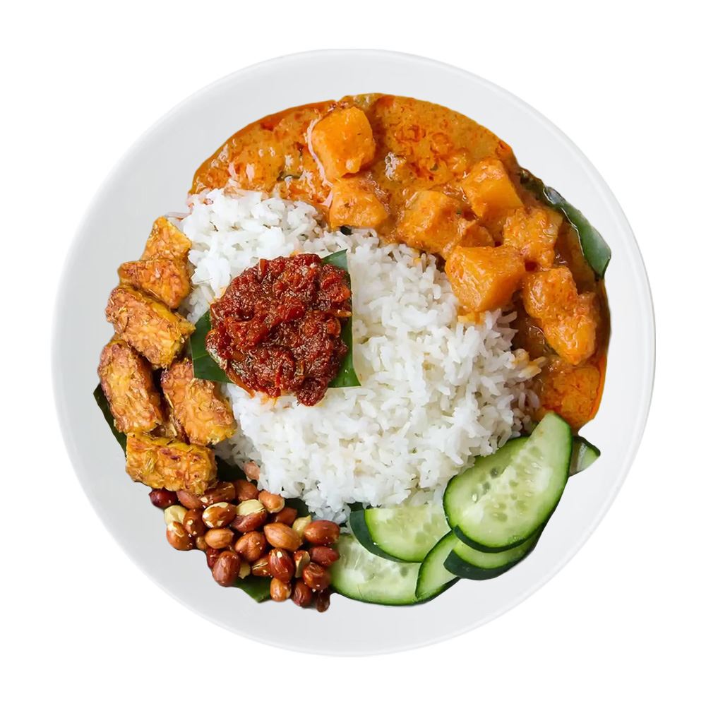 Nasi Lemak Vege