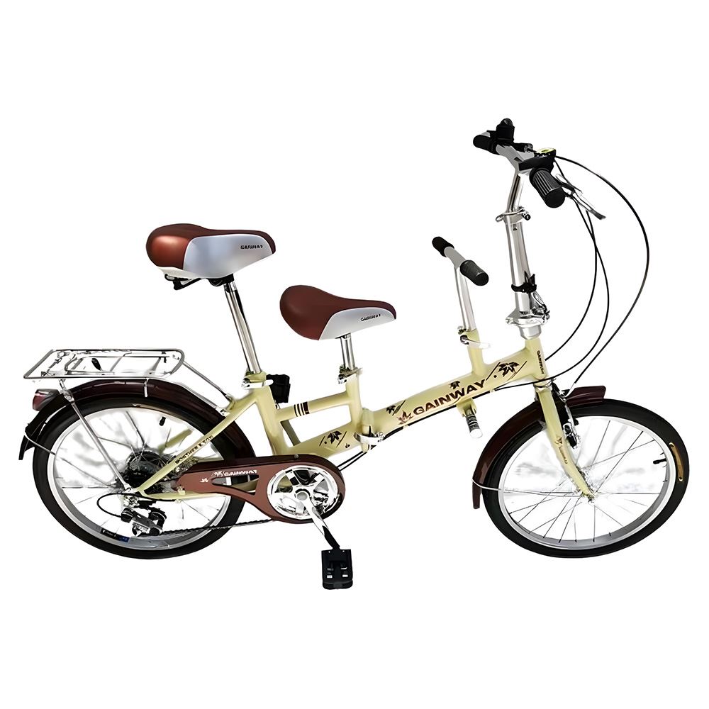 20” Gainway Tricycle Bike