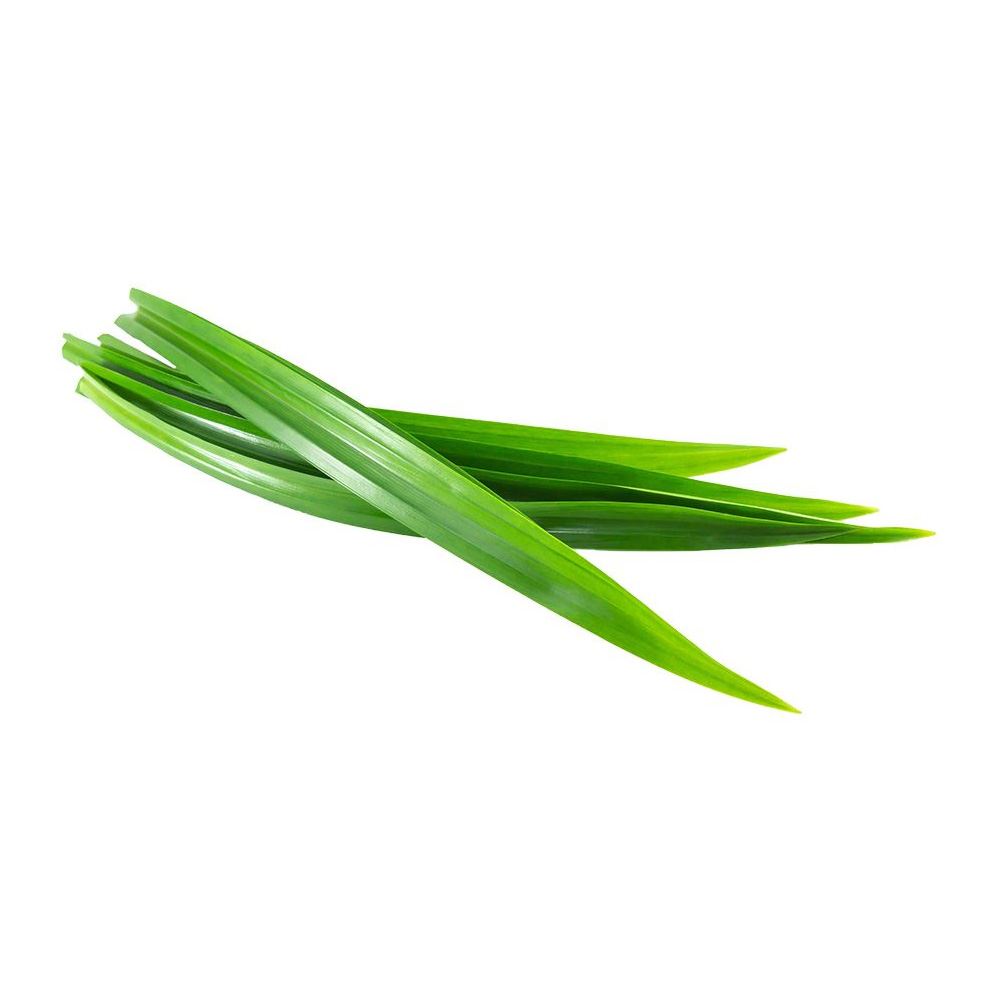 Fresh Pandan Leaves – 500g