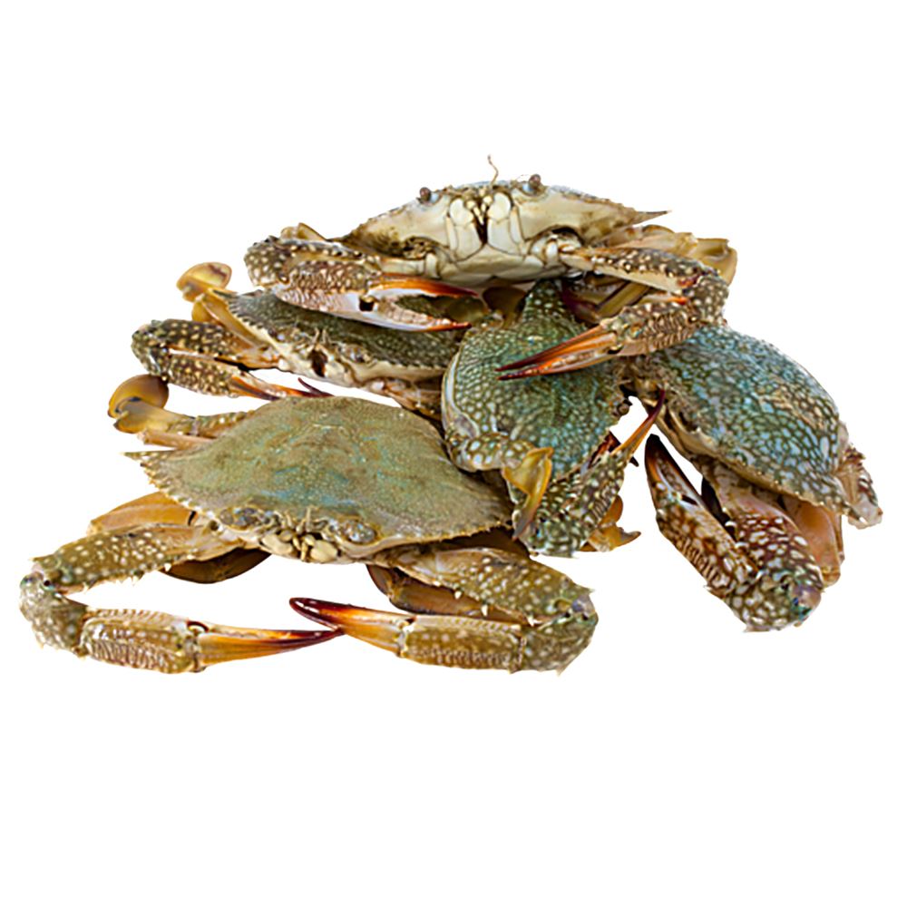 Fresh Crab