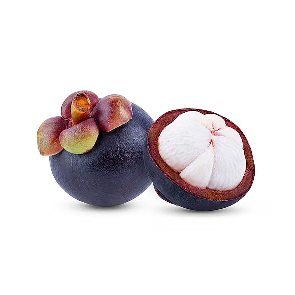 Mangosteen 